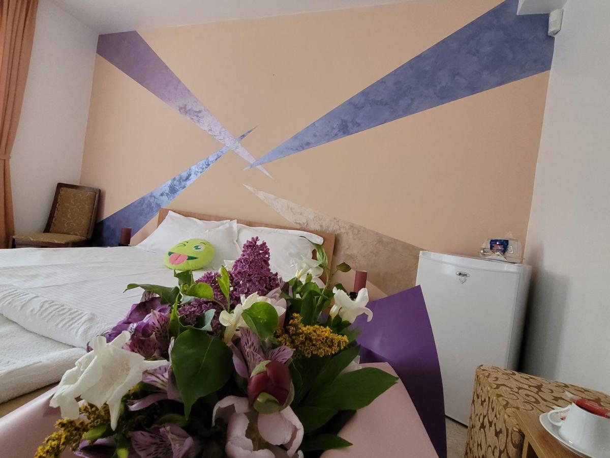 Vila Sophia Vama Veche Eksteriør billede